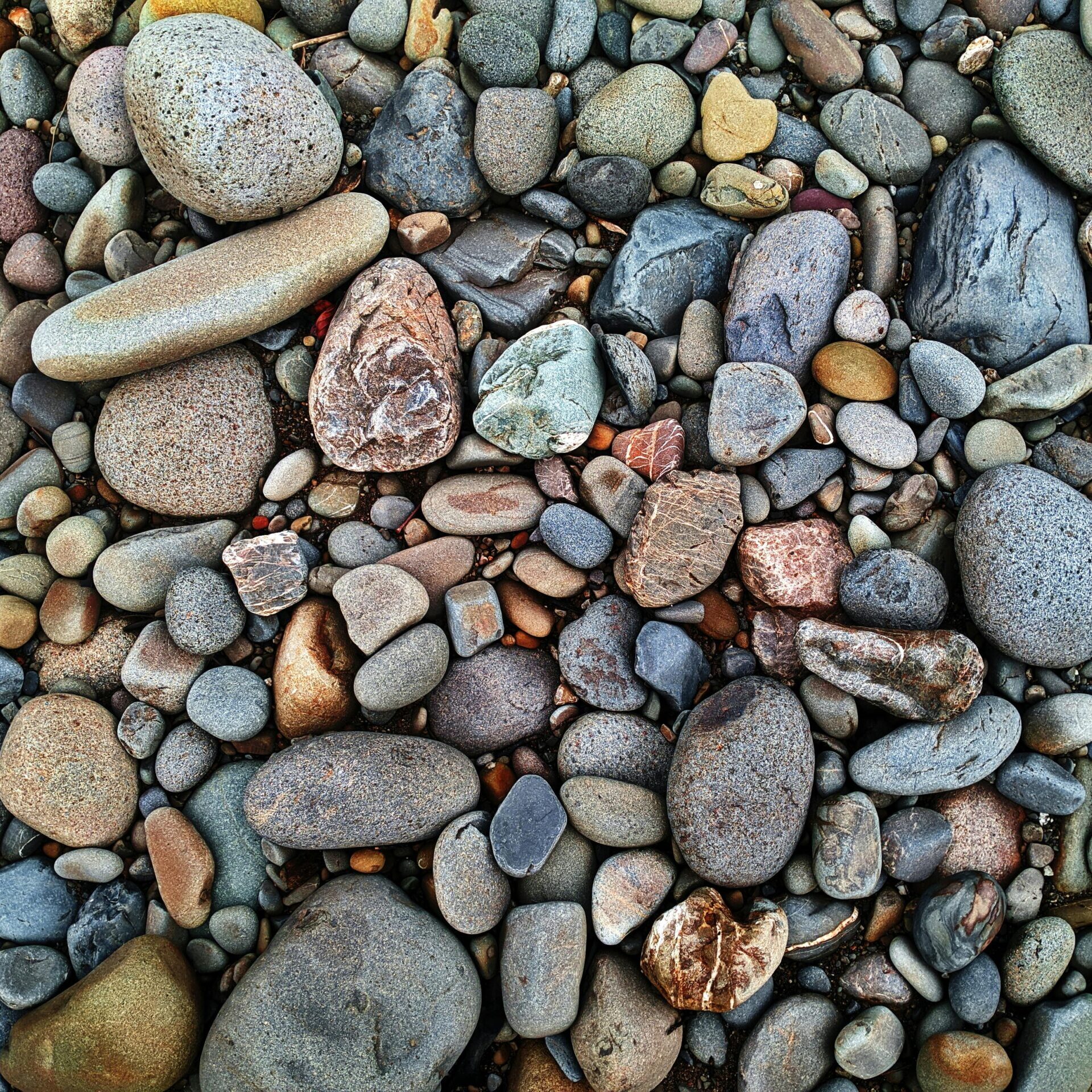 pexels photo 34430571 34430571